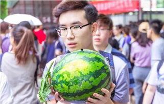 学校请学生免费吃瓜,学生免费畅享夏日清凉瓜果盛宴 第2张 学校请学生免费吃瓜,学生免费畅享夏日清凉瓜果盛宴 第2张